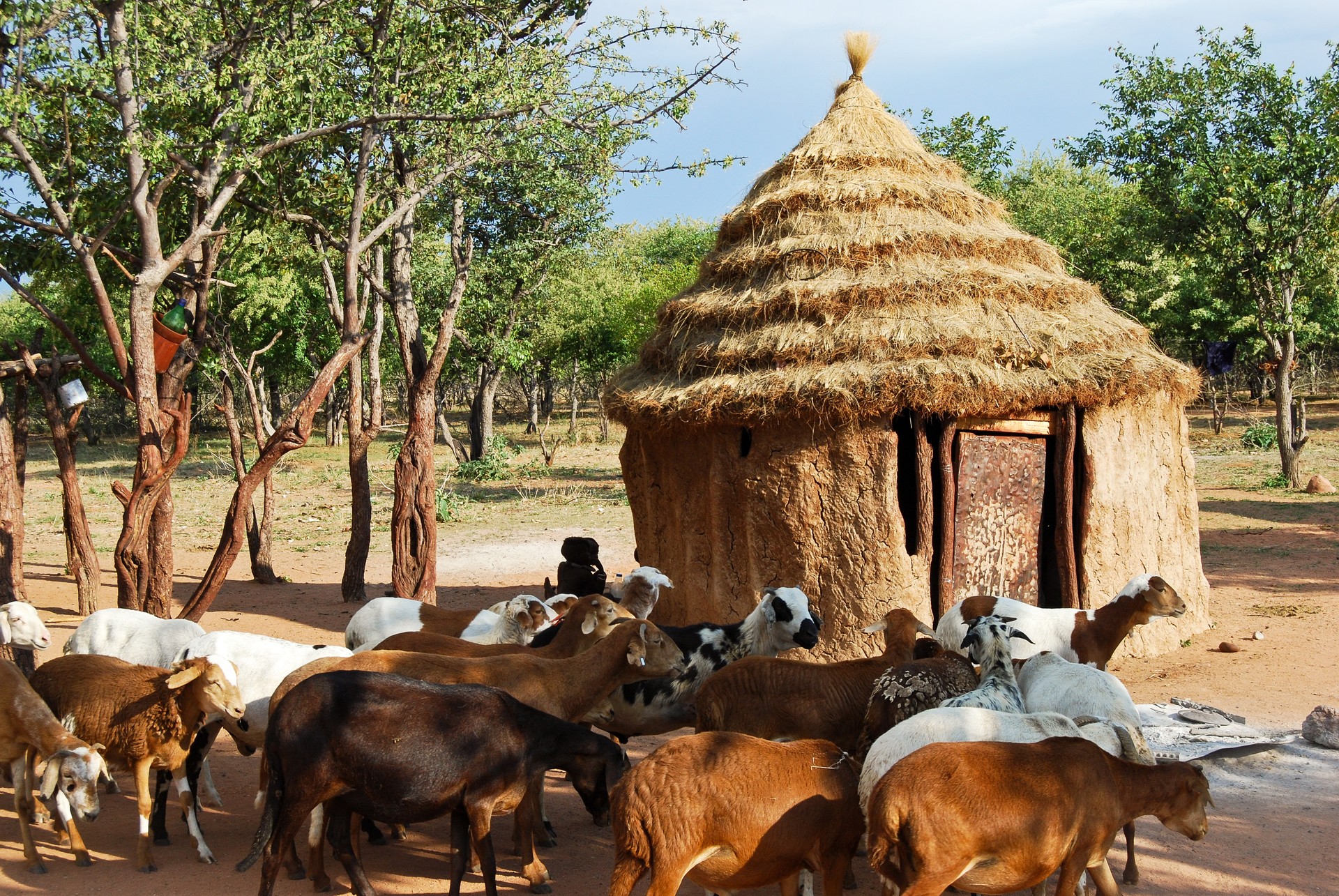 Himba village with traditional huts in Namibia, Africa